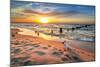 French Bulldog on the Beach at Sunset-Patryk Kosmider-Mounted Photographic Print