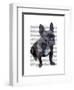 French Bulldog Plain-Fab Funky-Framed Art Print