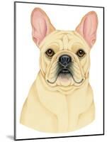 French Bulldog Portrait-Tomoyo Pitcher-Mounted Giclee Print