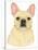 French Bulldog Portrait-Tomoyo Pitcher-Stretched Canvas