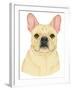 French Bulldog Portrait-Tomoyo Pitcher-Framed Giclee Print