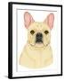 French Bulldog Portrait-Tomoyo Pitcher-Framed Giclee Print