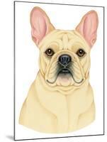 French Bulldog Portrait-Tomoyo Pitcher-Mounted Giclee Print