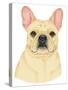 French Bulldog Portrait-Tomoyo Pitcher-Stretched Canvas