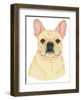 French Bulldog Portrait-Tomoyo Pitcher-Framed Giclee Print