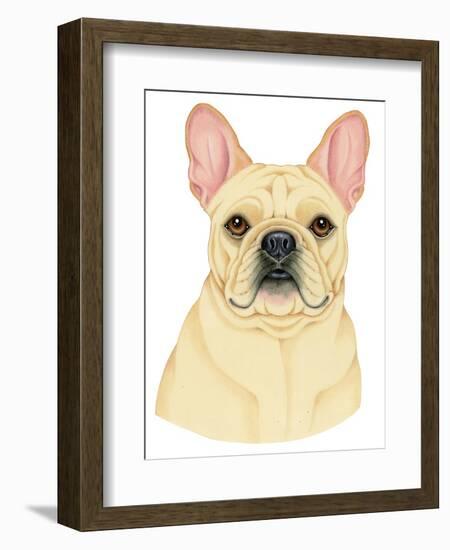 French Bulldog Portrait-Tomoyo Pitcher-Framed Giclee Print