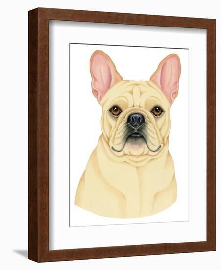 French Bulldog Portrait-Tomoyo Pitcher-Framed Giclee Print