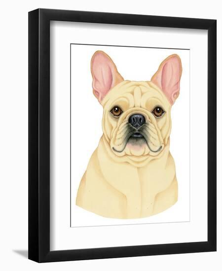 French Bulldog Portrait-Tomoyo Pitcher-Framed Giclee Print