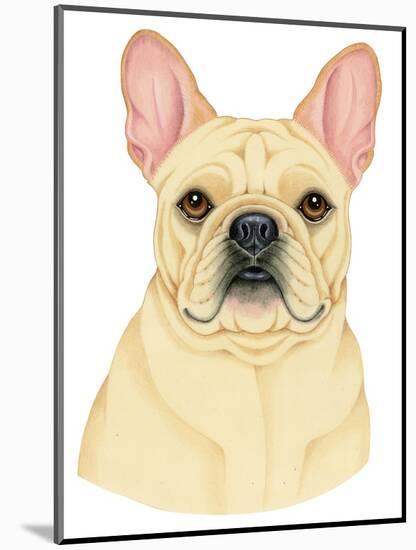 French Bulldog Portrait-Tomoyo Pitcher-Mounted Giclee Print