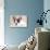 French Bulldog Puppy , 3 Months-Lilun-Photographic Print displayed on a wall