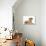 French Bulldog Puppy in Studio-null-Photographic Print displayed on a wall