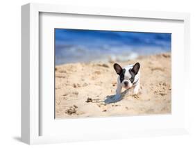 French Bulldog Puppy Running On The Beach-Patryk Kosmider-Framed Photographic Print