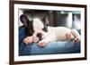 French Bulldog Puppy Sleeping on Knees-Patryk Kosmider-Framed Photographic Print