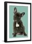 French Bulldog Puppy-null-Framed Photographic Print