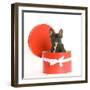 French Bulldog Sitting in Hat Box-null-Framed Photographic Print