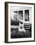 French Bulldog Southampton NY-Theo Westenberger-Framed Art Print