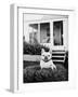 French Bulldog Southampton NY-Theo Westenberger-Framed Art Print