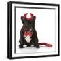 French Bulldog Wearing Devil Costume-Willee Cole-Framed Photographic Print