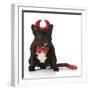 French Bulldog Wearing Devil Costume-Willee Cole-Framed Photographic Print