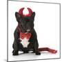 French Bulldog Wearing Devil Costume-Willee Cole-Mounted Photographic Print