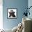 French Bulldog Wearing Fedora Hat-Willee Cole-Framed Photographic Print displayed on a wall