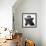 French Bulldog Wearing Fedora Hat-Willee Cole-Framed Photographic Print displayed on a wall