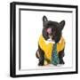 French Bulldog Wearing Shirt and Tie with Silly Expression-Willee Cole-Framed Photographic Print