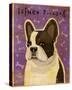 French Bulldog (White Brindle)-John W Golden-Stretched Canvas