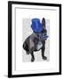 French Bulldog with Blue Top Hat and Moustache-Fab Funky-Framed Art Print