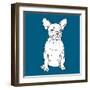 French Bulldog-Anna Nyberg-Framed Art Print