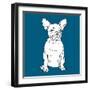 French Bulldog-Anna Nyberg-Framed Art Print