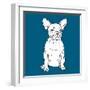 French Bulldog-Anna Nyberg-Framed Art Print