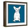 French Bulldog-Anna Nyberg-Framed Giclee Print