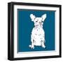 French Bulldog-Anna Nyberg-Framed Giclee Print