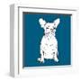 French Bulldog-Anna Nyberg-Framed Giclee Print