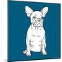 French Bulldog-Anna Nyberg-Mounted Giclee Print