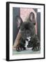 French Bulldog-null-Framed Photographic Print