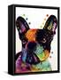 French Bulldog-Dean Russo-Framed Stretched Canvas