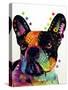 French Bulldog-Dean Russo-Stretched Canvas