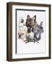 French Bulldog-Barbara Keith-Framed Giclee Print