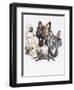 French Bulldog-Barbara Keith-Framed Giclee Print