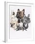 French Bulldog-Barbara Keith-Framed Giclee Print