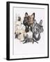 French Bulldog-Barbara Keith-Framed Giclee Print