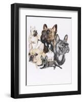 French Bulldog-Barbara Keith-Framed Premium Giclee Print