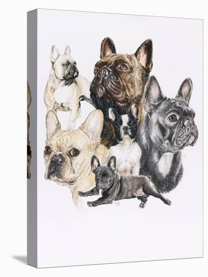 French Bulldog-Barbara Keith-Stretched Canvas