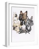 French Bulldog-Barbara Keith-Framed Giclee Print