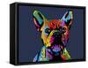 French Bulldog-Michael Tompsett-Framed Stretched Canvas