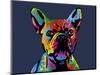 French Bulldog-Michael Tompsett-Mounted Art Print