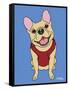 French Bulldog-Tomoyo Pitcher-Framed Stretched Canvas