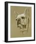 French Bulldog-Barbara Keith-Framed Giclee Print